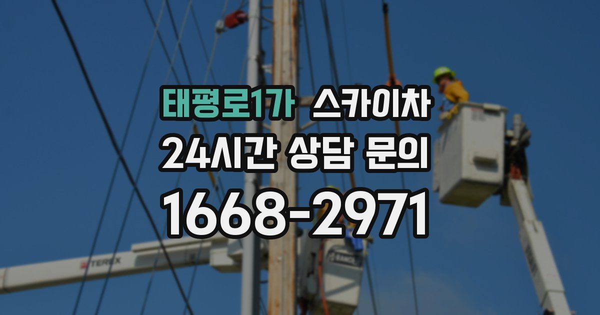 태평로1가 스카이차