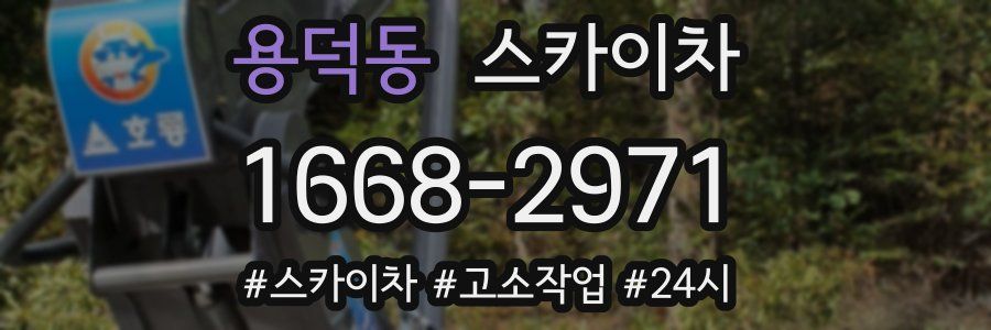 용덕동 스카이차