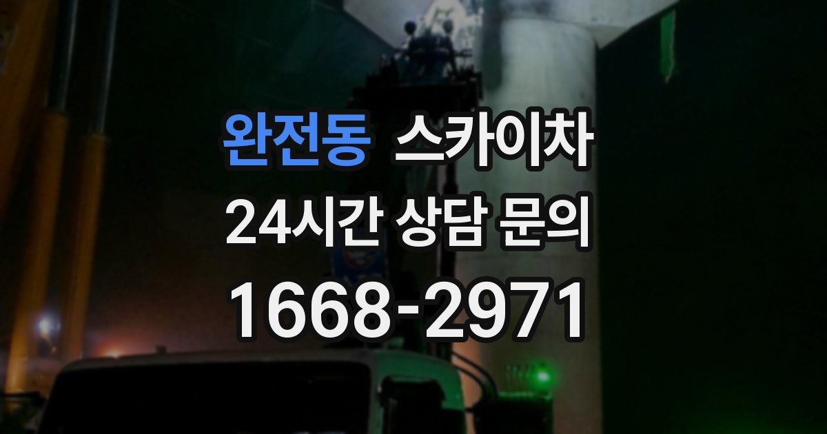 완전동 스카이차