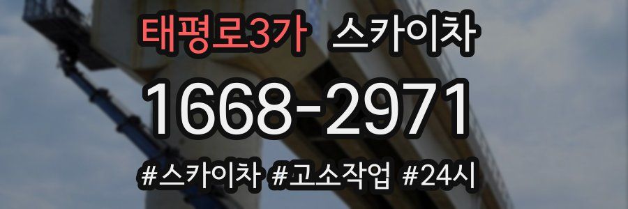 태평로3가 스카이차