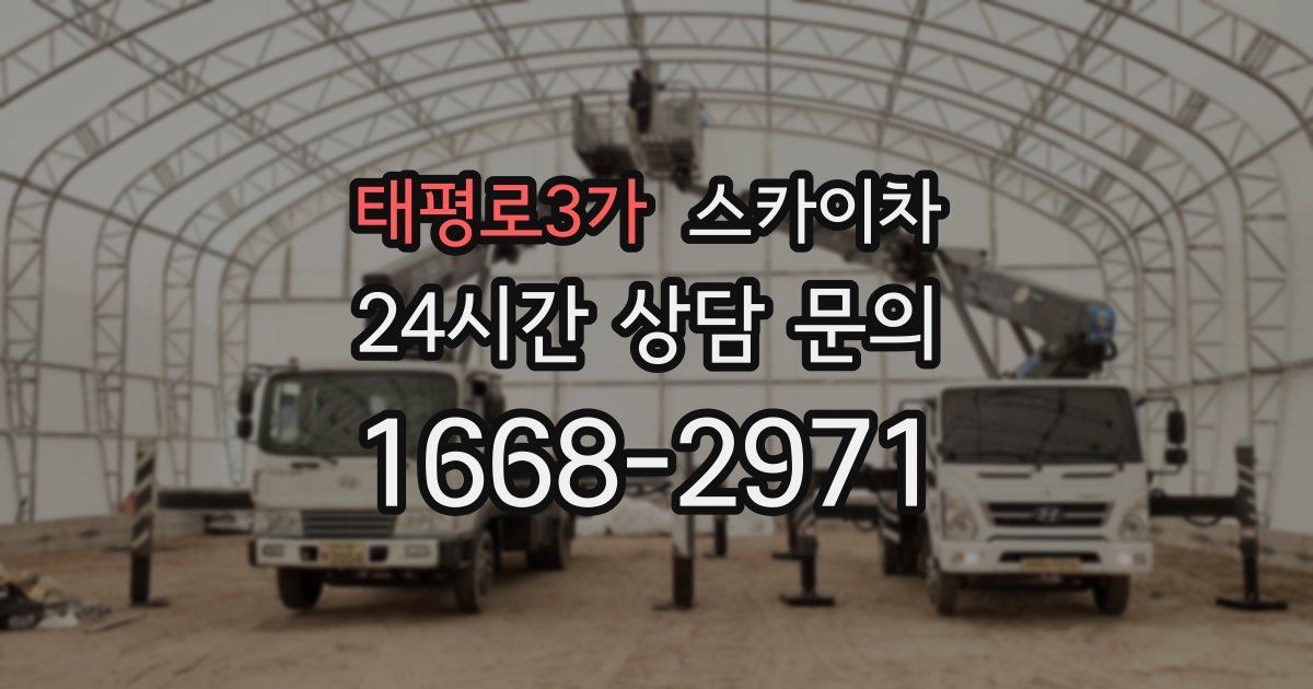 태평로3가 스카이차