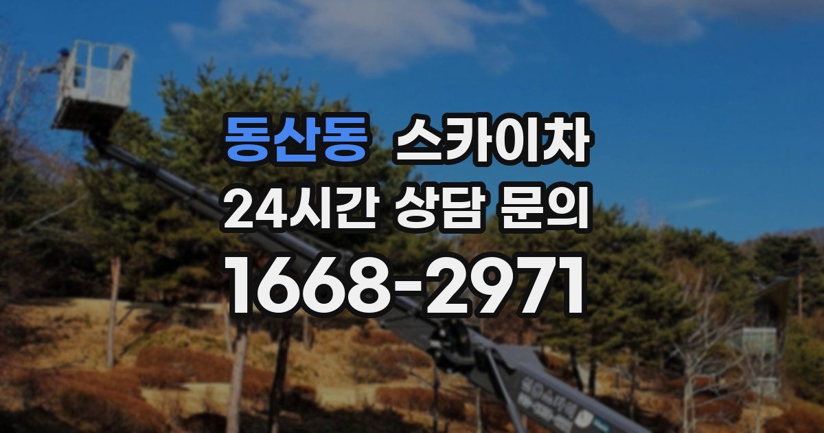 동산동 스카이차