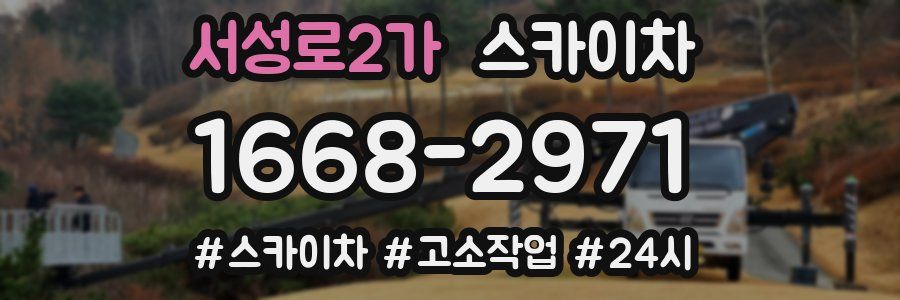 서성로2가 스카이차