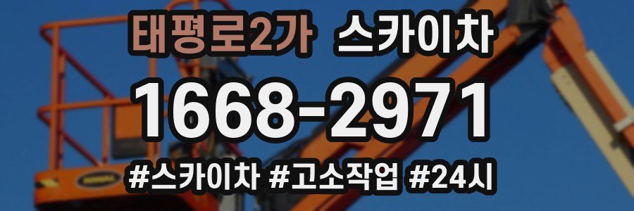 태평로2가 스카이차