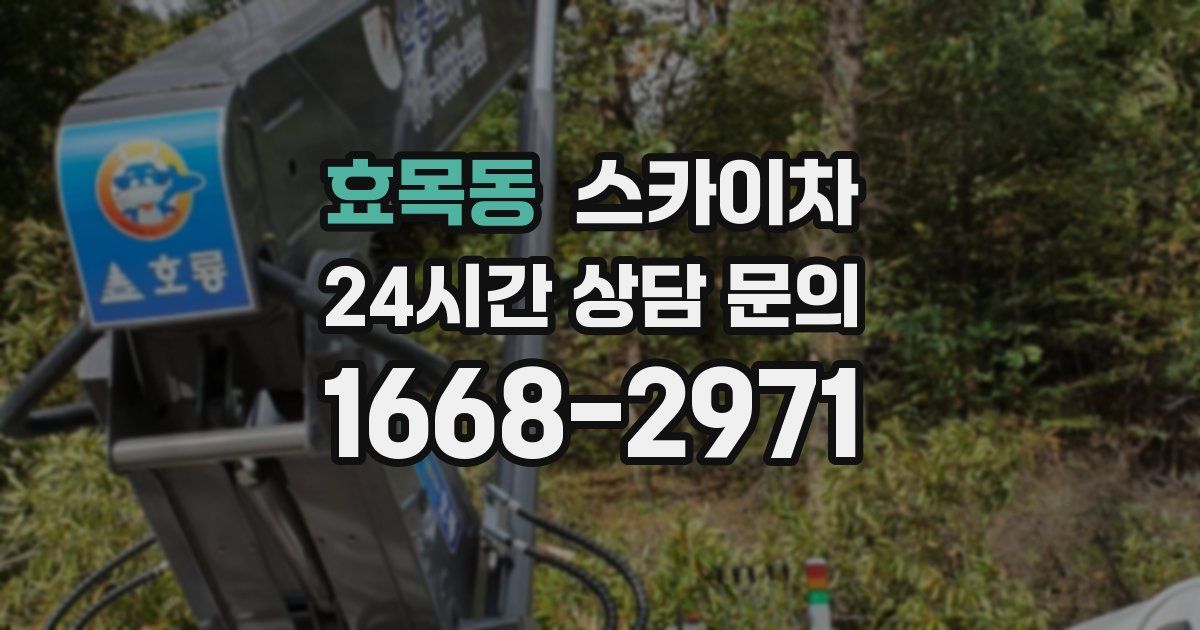 효목동 스카이차