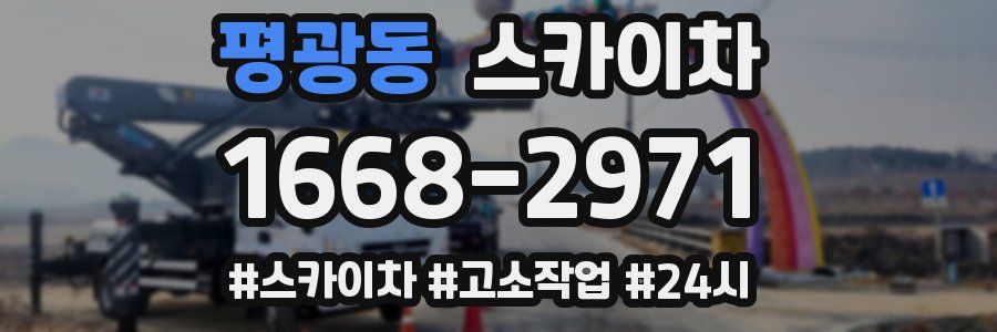 평광동 스카이차