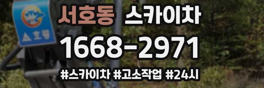 서호동 스카이차