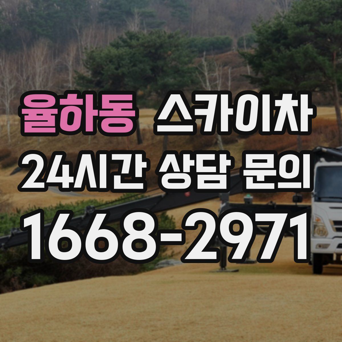 율하동 스카이차