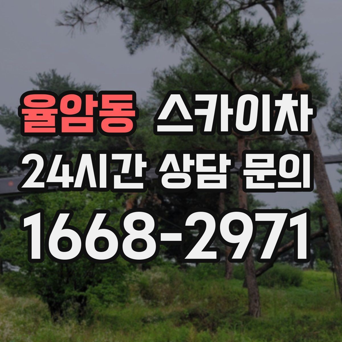율암동 스카이차 강풍 예보면 작업을 미루는 이유