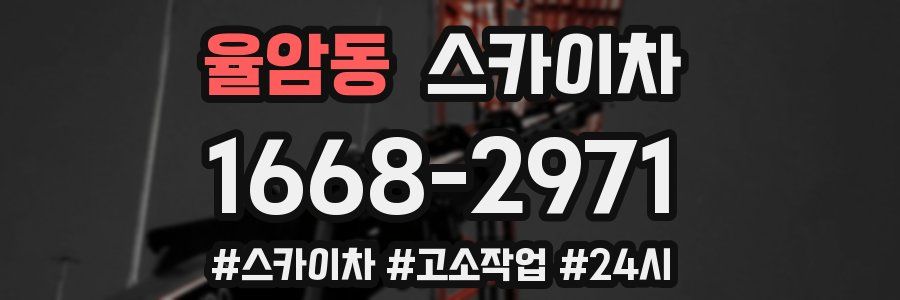 율암동 스카이차