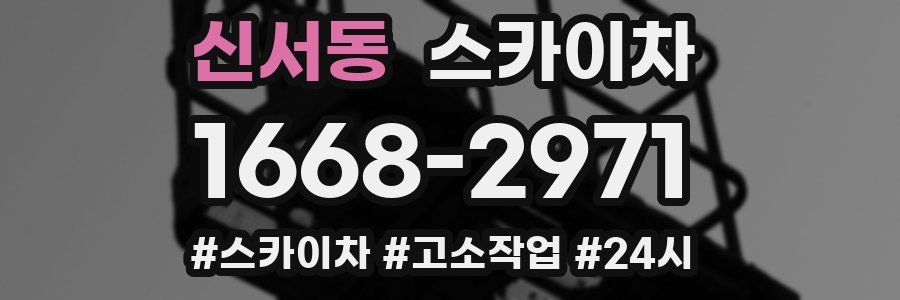 신서동 스카이차