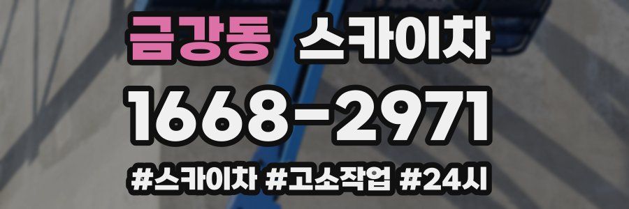 금강동 스카이차