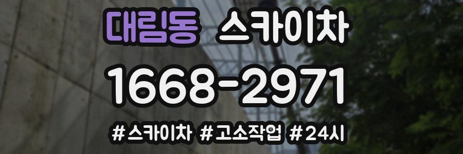 대림동 스카이차