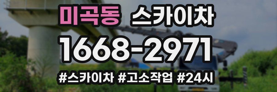 미곡동 스카이차