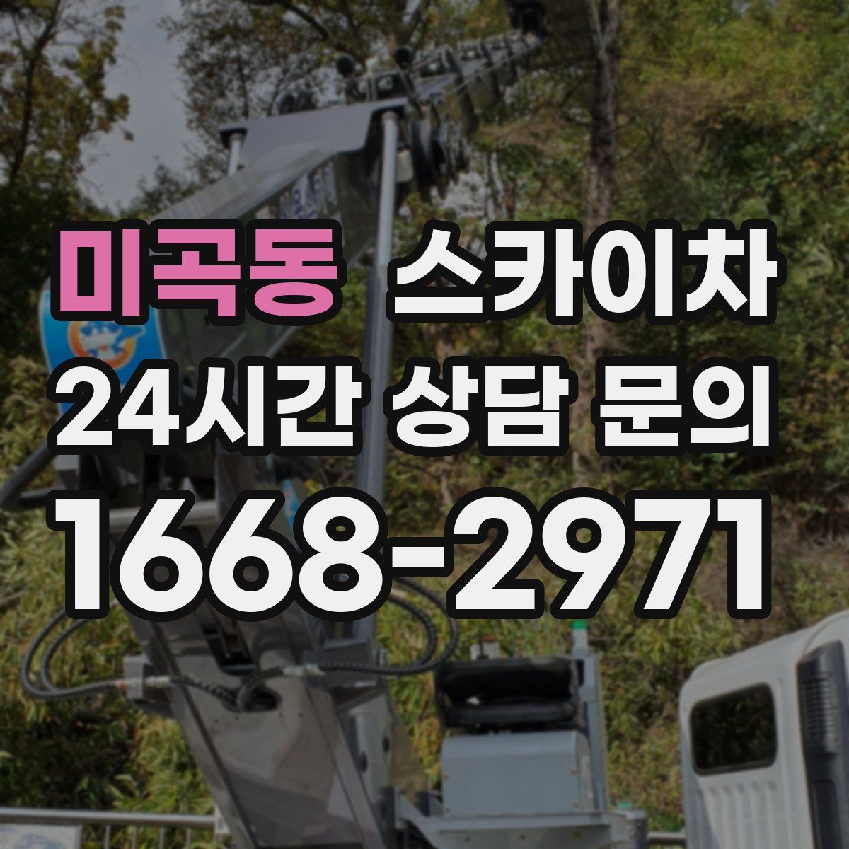 미곡동 스카이차