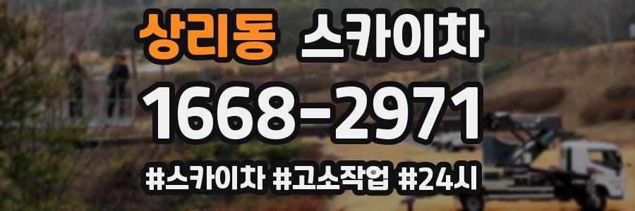 상리동 스카이차