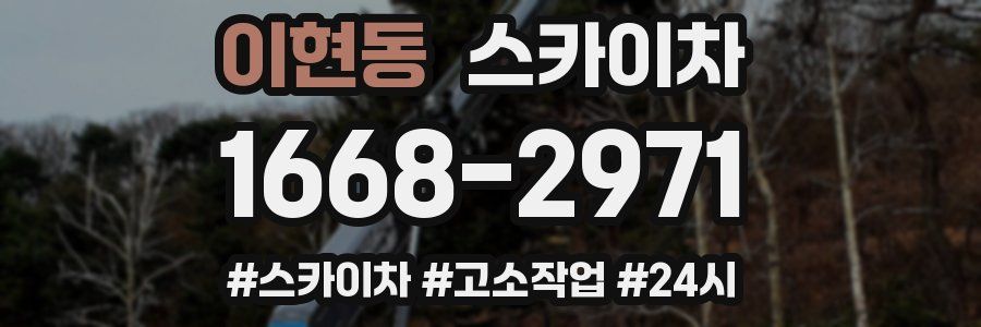 이현동 스카이차