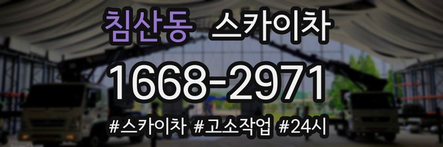 침산동 스카이차