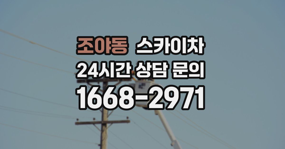 조야동 스카이차