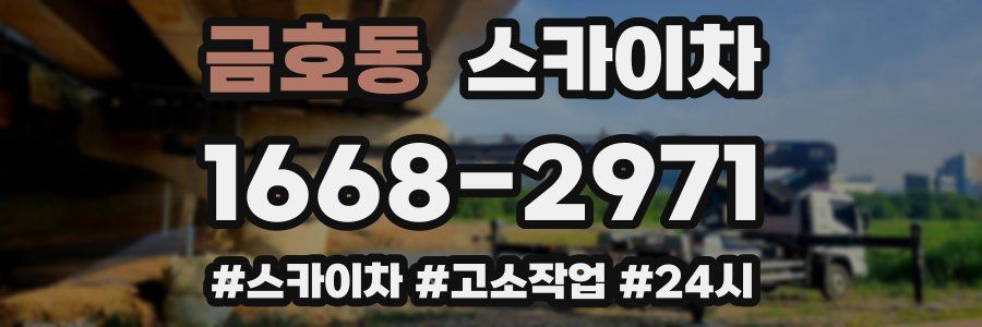 금호동 스카이차