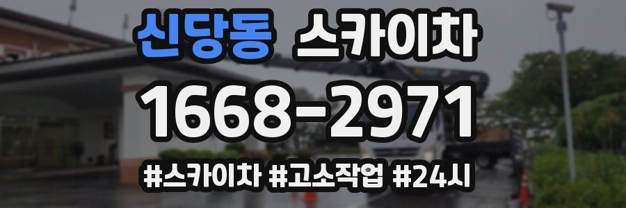 신당동 스카이차