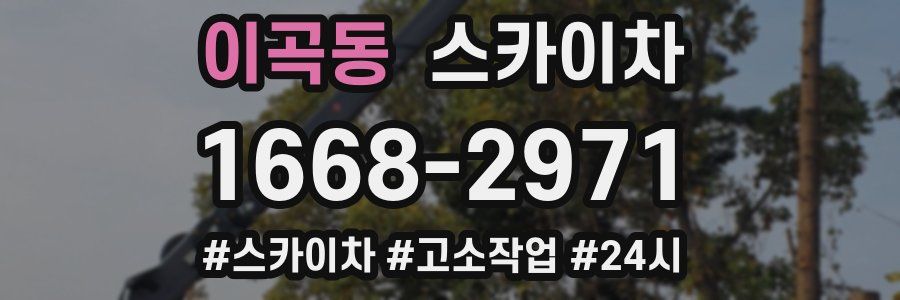 이곡동 스카이차