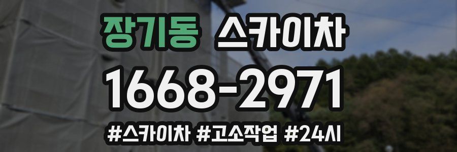 장기동 스카이차