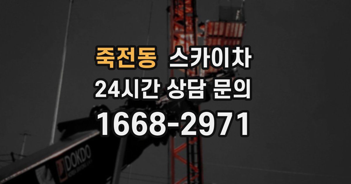 죽전동 스카이차