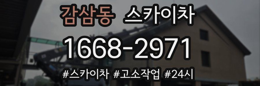 감삼동 스카이차