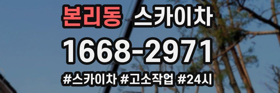 본리동 스카이차