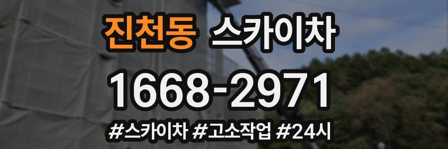 진천동 스카이차