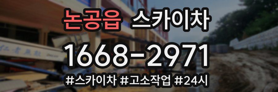 논공읍 스카이차