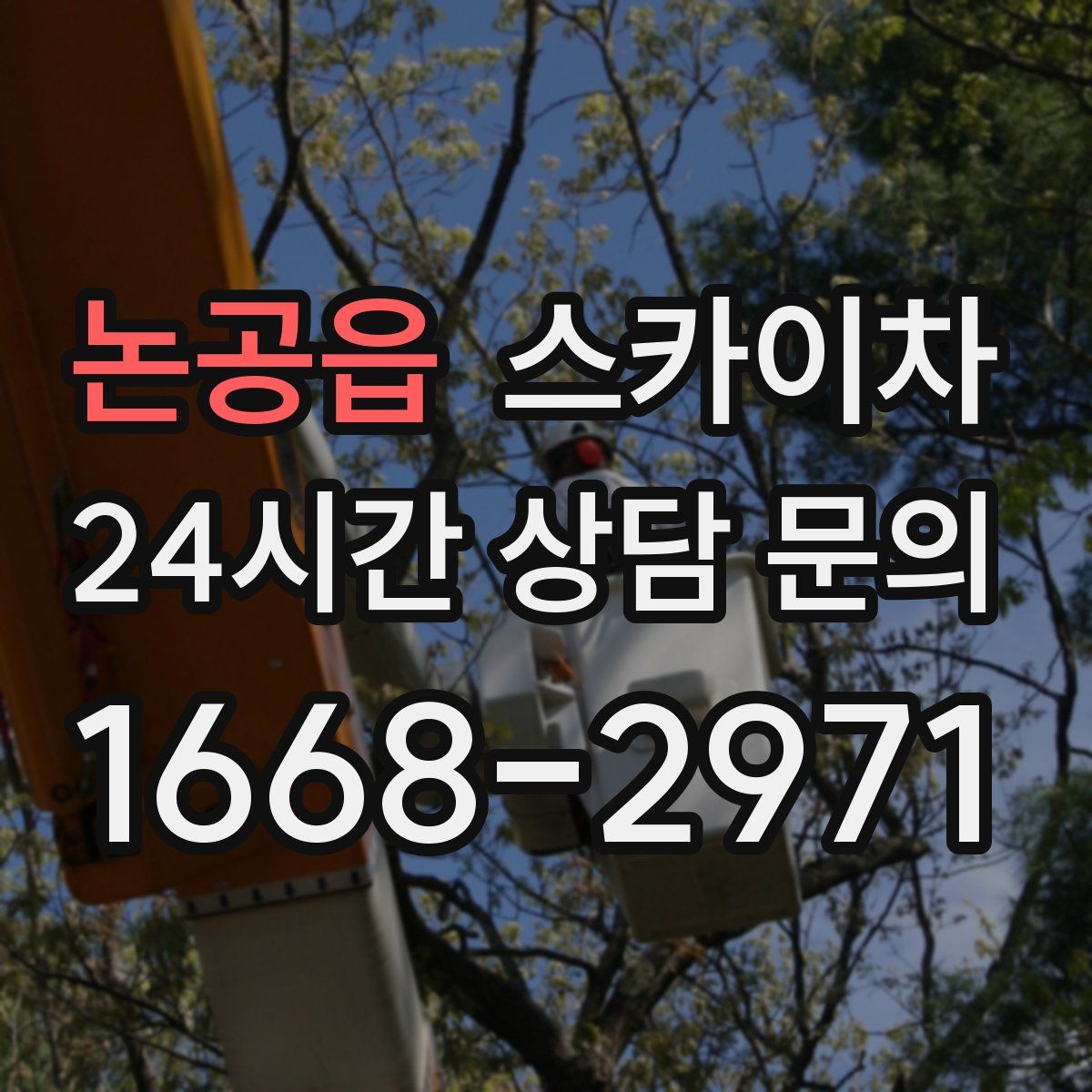 논공읍 스카이차