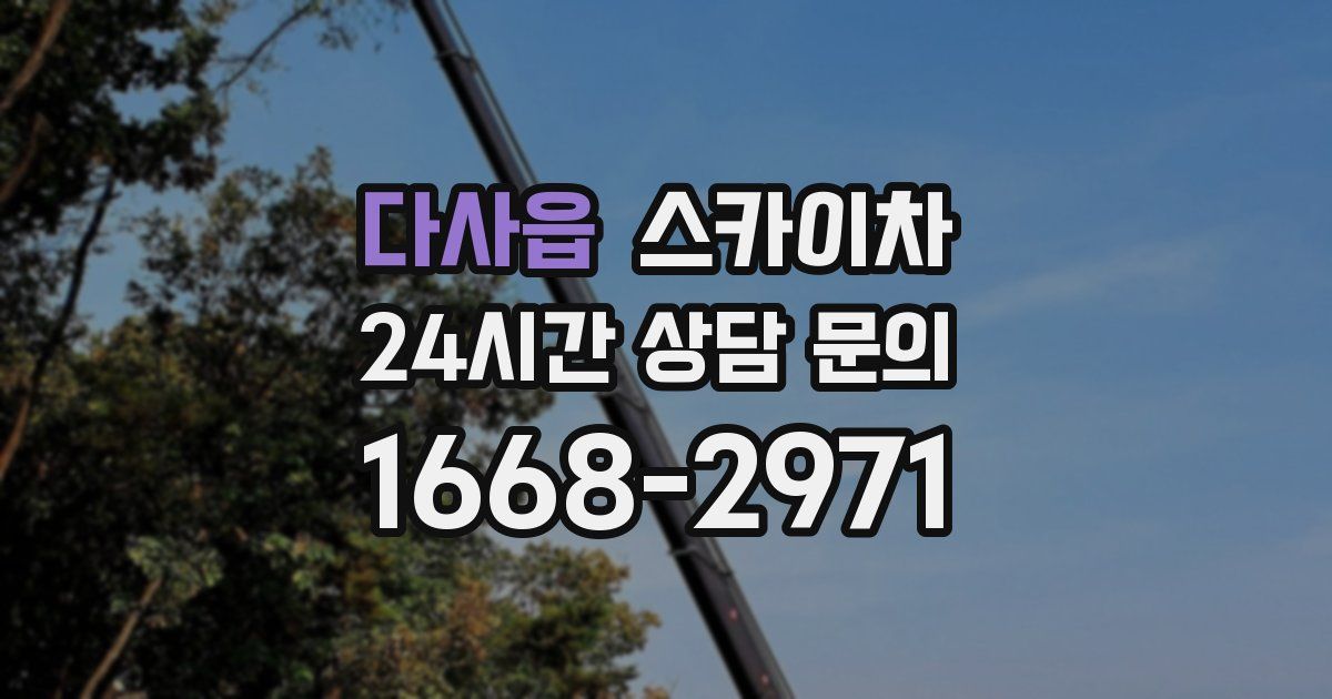 다사읍 스카이차