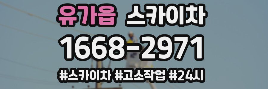 유가읍 스카이차