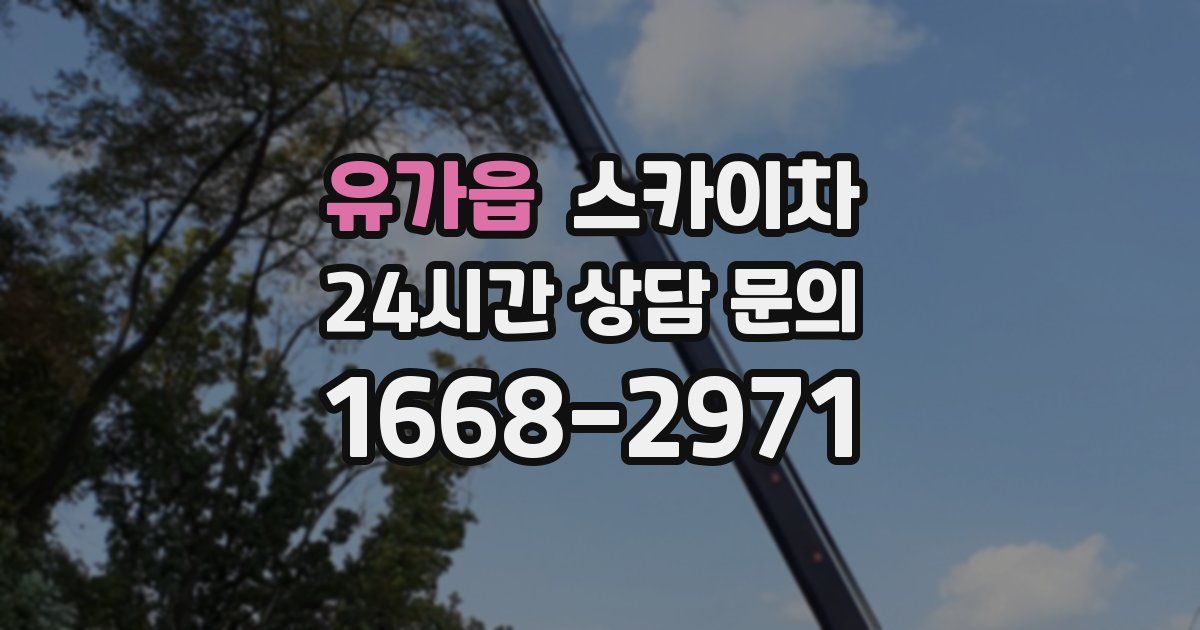 유가읍 스카이차