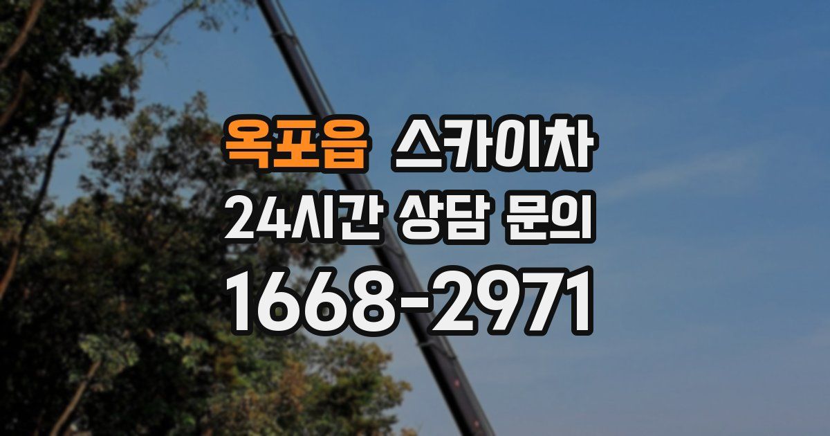 옥포읍 스카이차