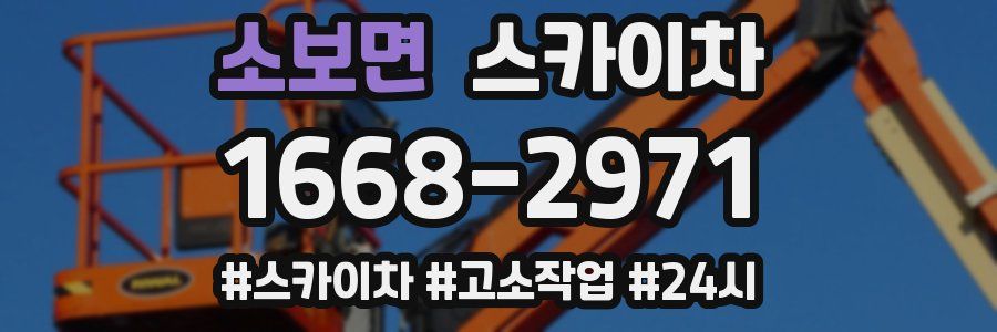 소보면 스카이차