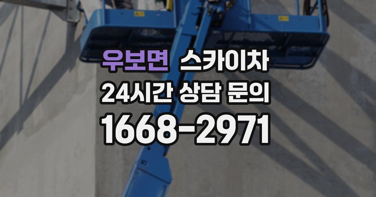 우보면 스카이차