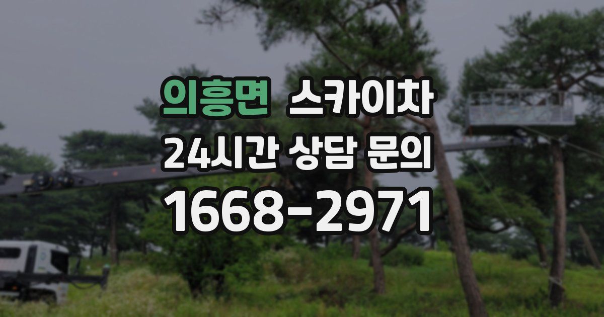 의흥면 스카이차