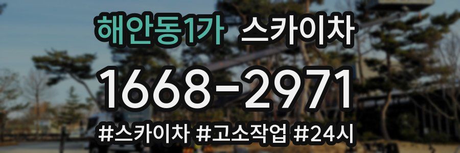 해안동1가 스카이차