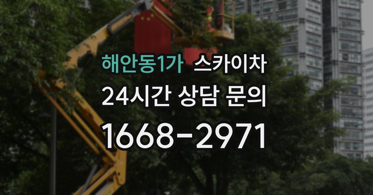 해안동1가 스카이차