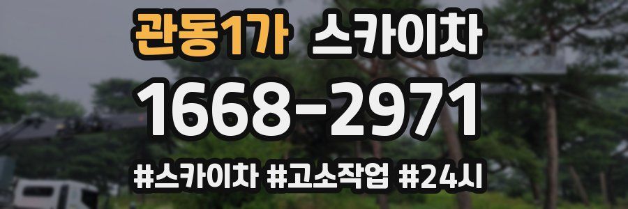 관동1가 스카이차