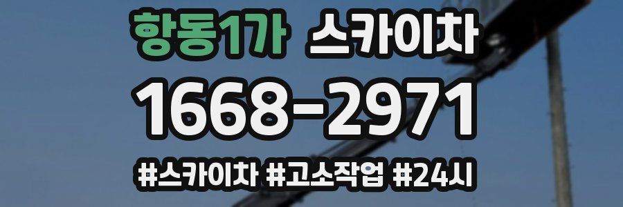 항동1가 스카이차