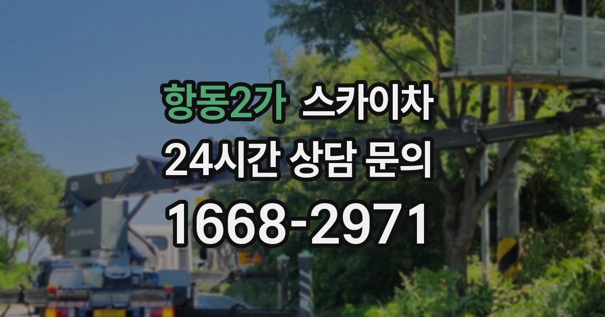 항동2가 스카이차