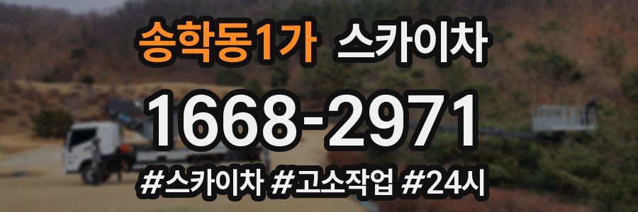 송학동1가 스카이차