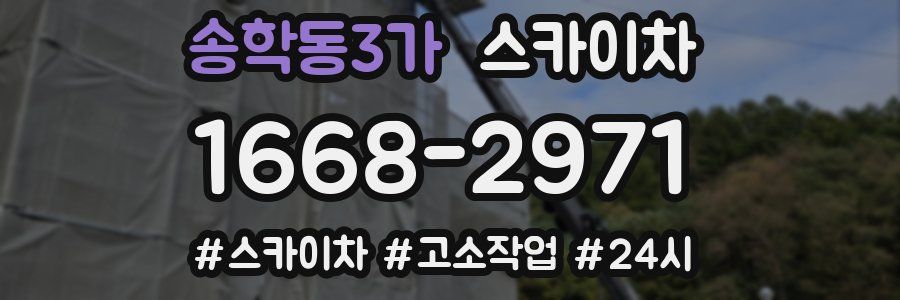 송학동3가 스카이차