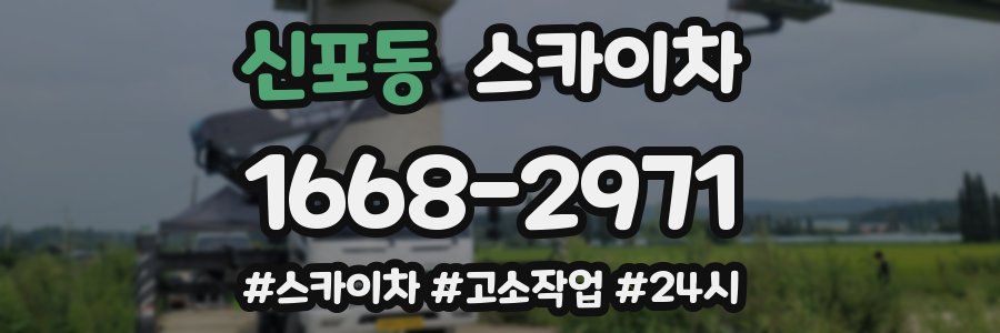 신포동 스카이차