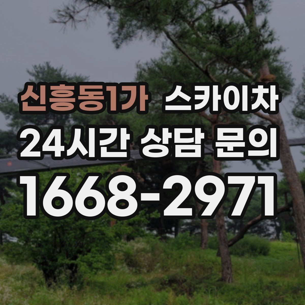 신흥동1가 스카이차 작업 반경이 중요한 이유 쉽게 설명