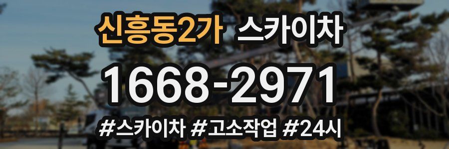 신흥동2가 스카이차